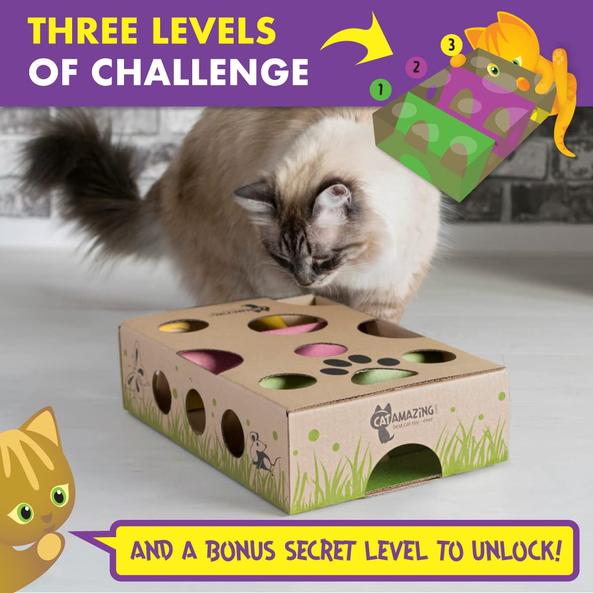 Interactive Cat Puzzle Feeder