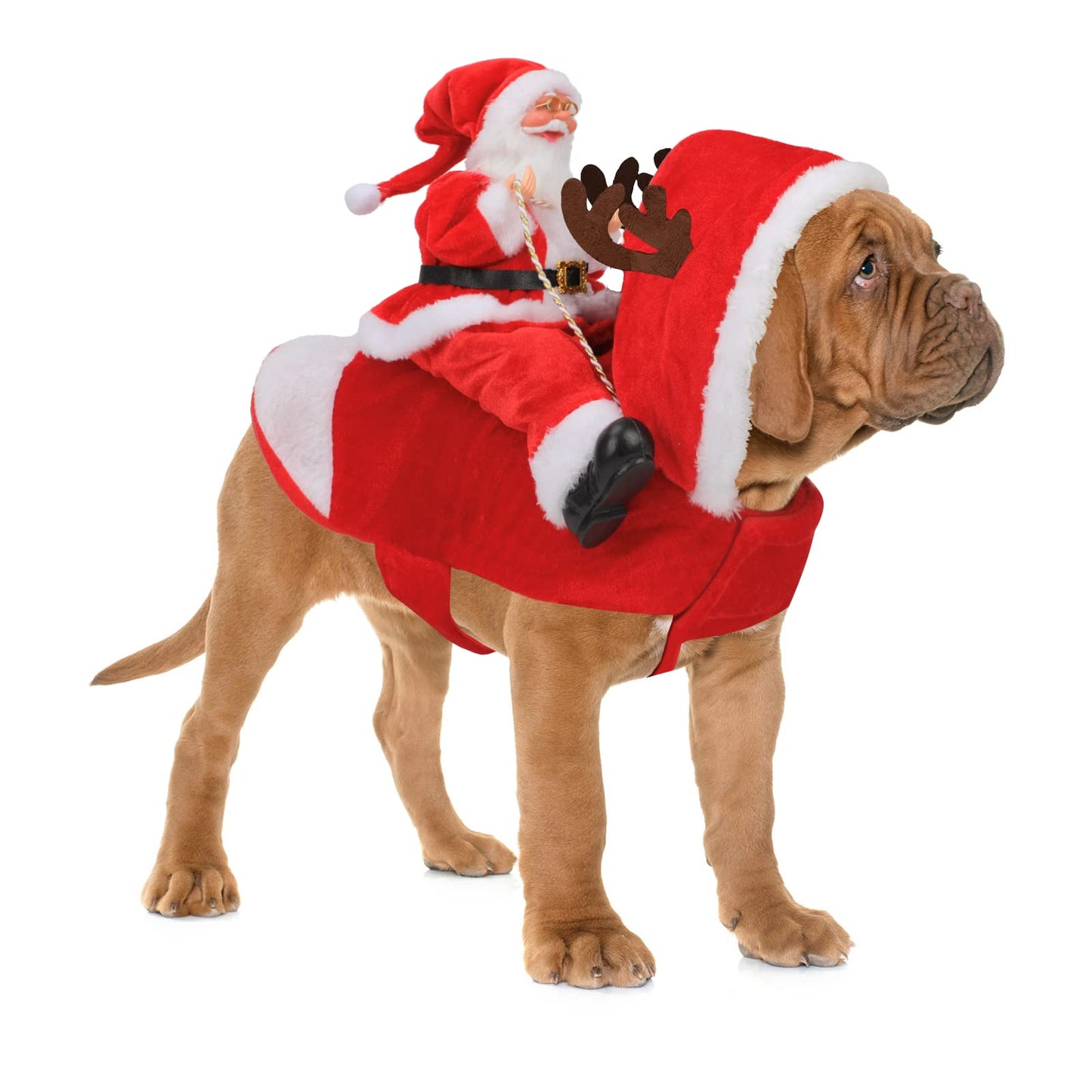 Santa Dog Costume - Christmas Pet Outfit