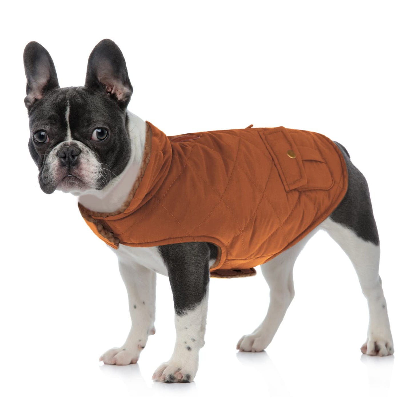 Cozy Sherpa-Lined Dog Jacket