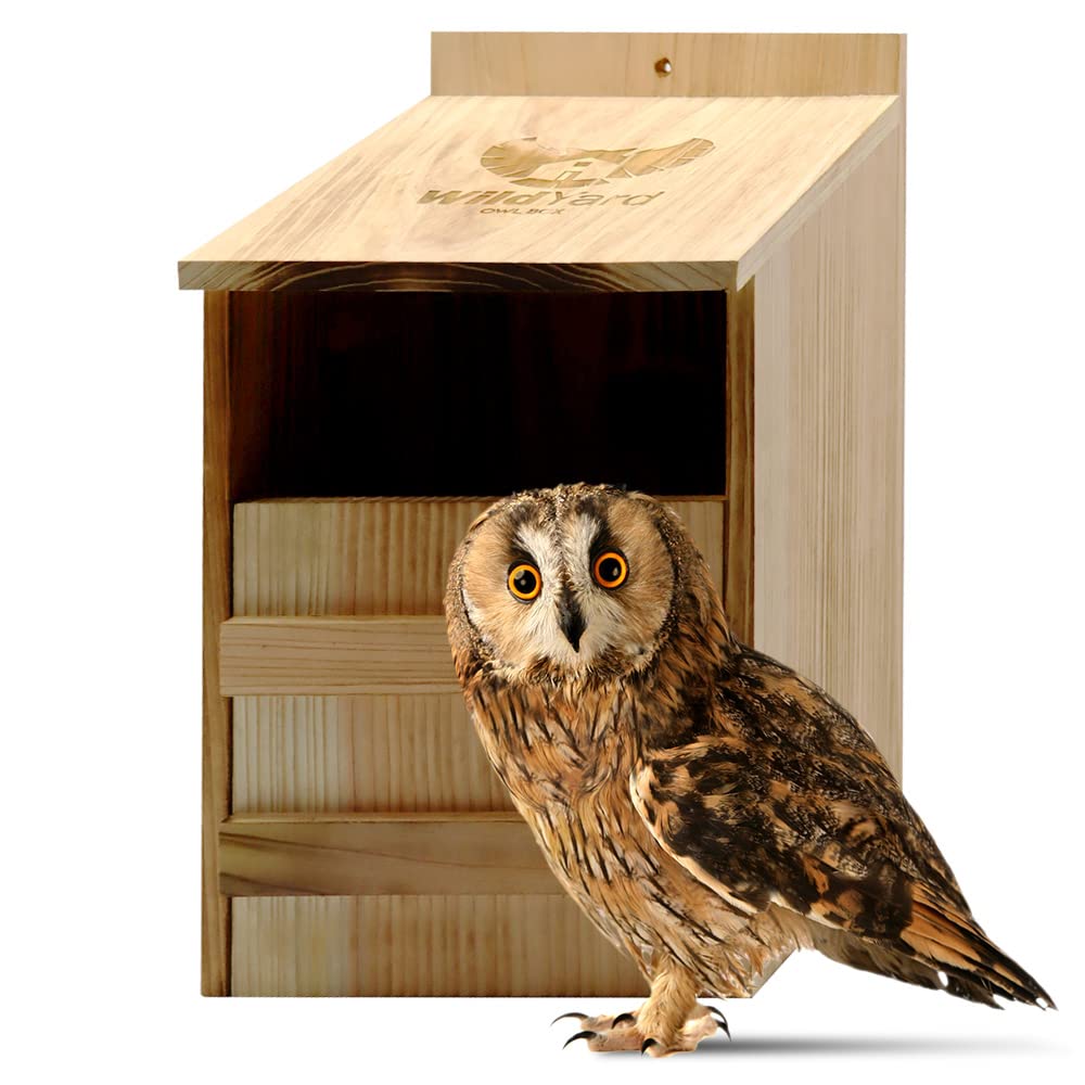 Owl House - Real Wood, Easy to Hang