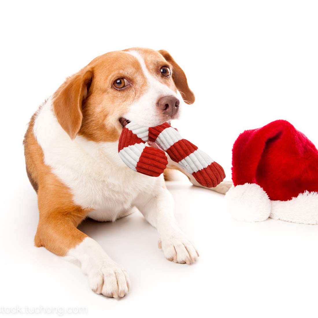 Christmas Dog Squeaky Toys - 3 Pack