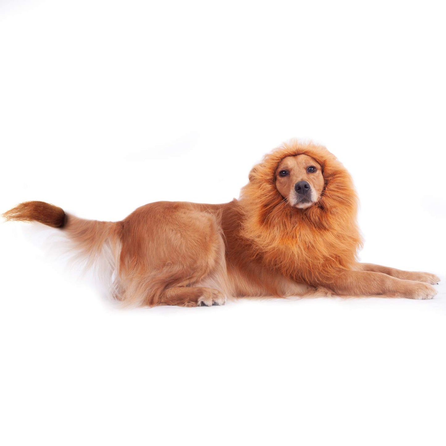 Lion Mane Dog Costume - Halloween & Christmas