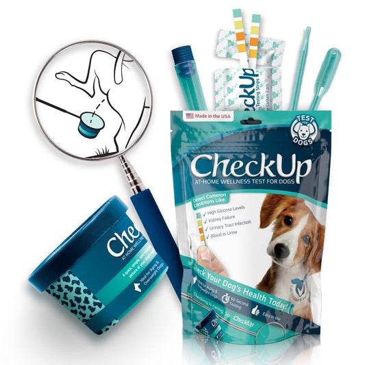 Dog Wellness Test Kit - Home Urine Collection