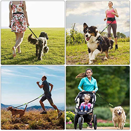 Hands-Free Running Dog Leash Set