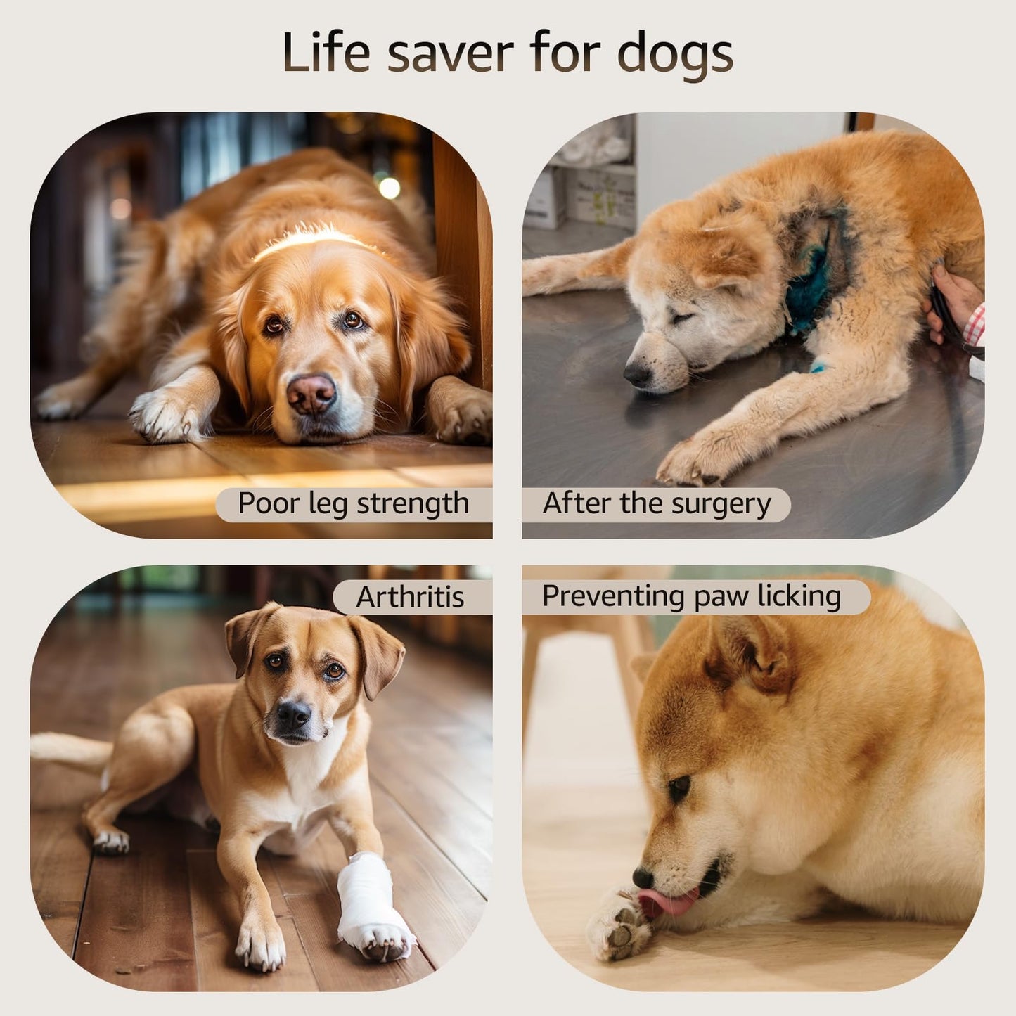 Anti-Slip Dog Paw Protector for Senior Dogs