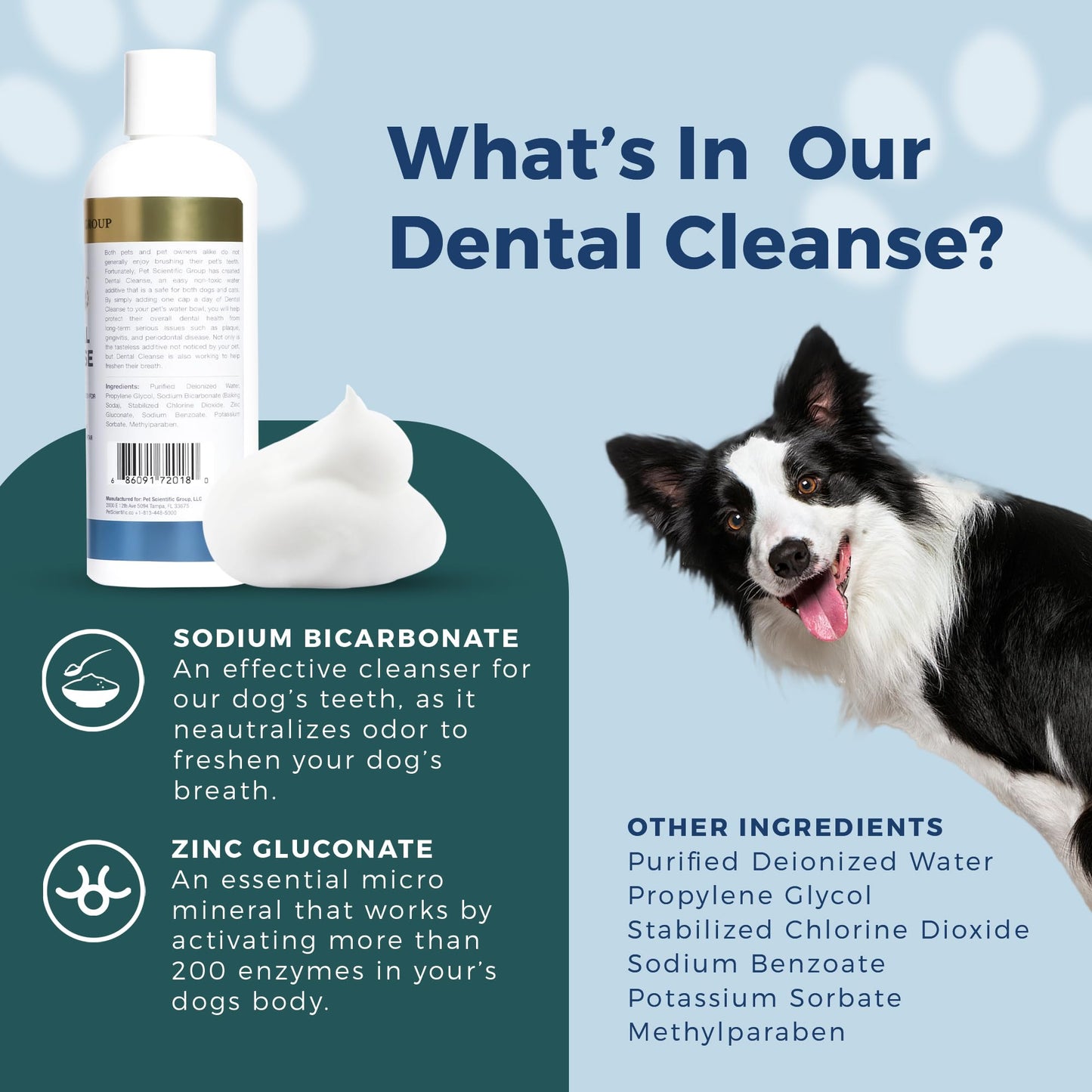 Dental Cleanse for Cats & Dogs - 8 Oz