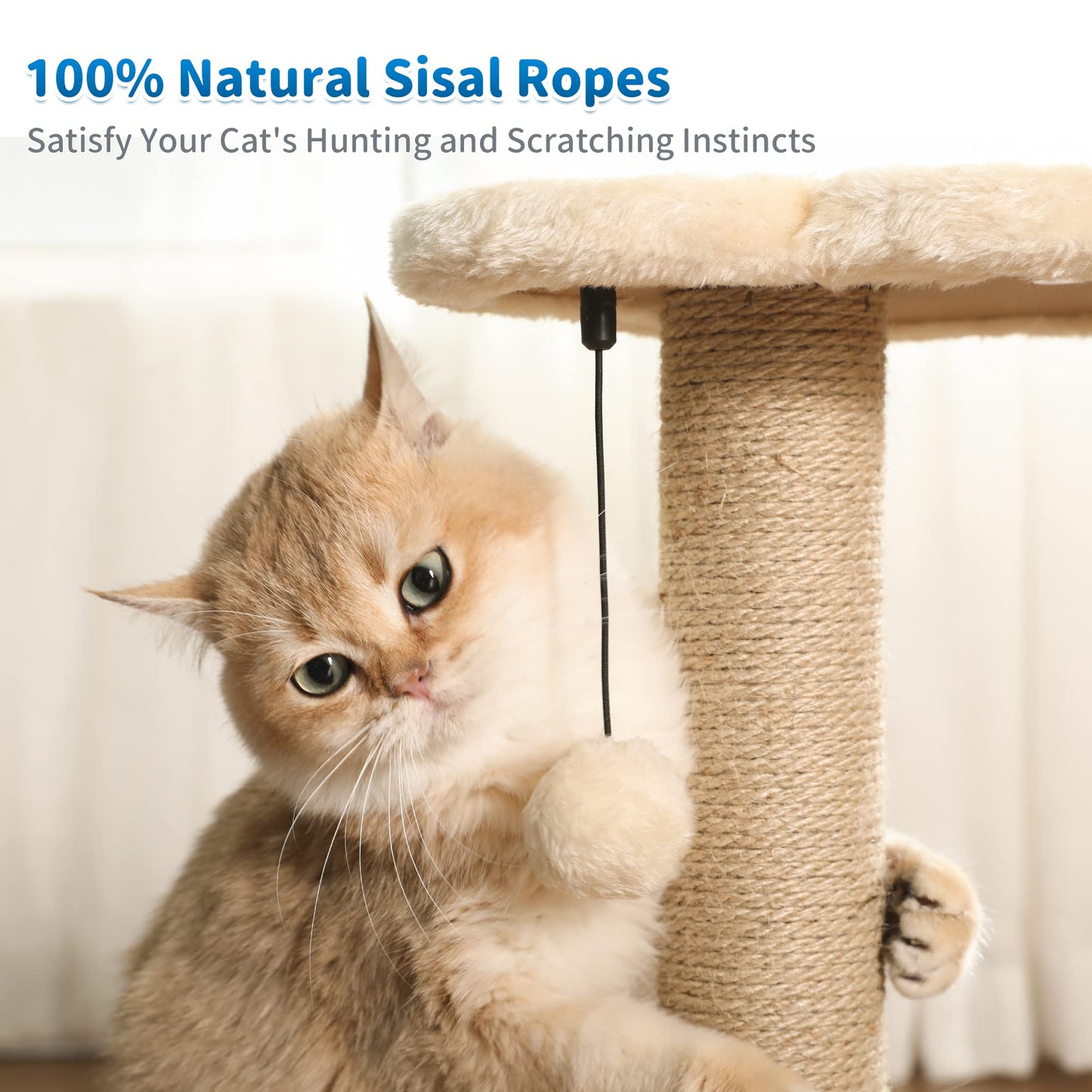 Cat Scratching Post