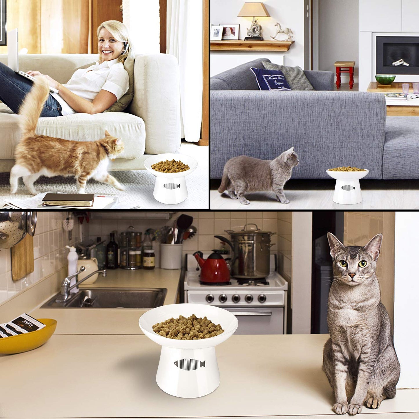 Cat Raised Food/Water Bowl for Elder/Big Cats