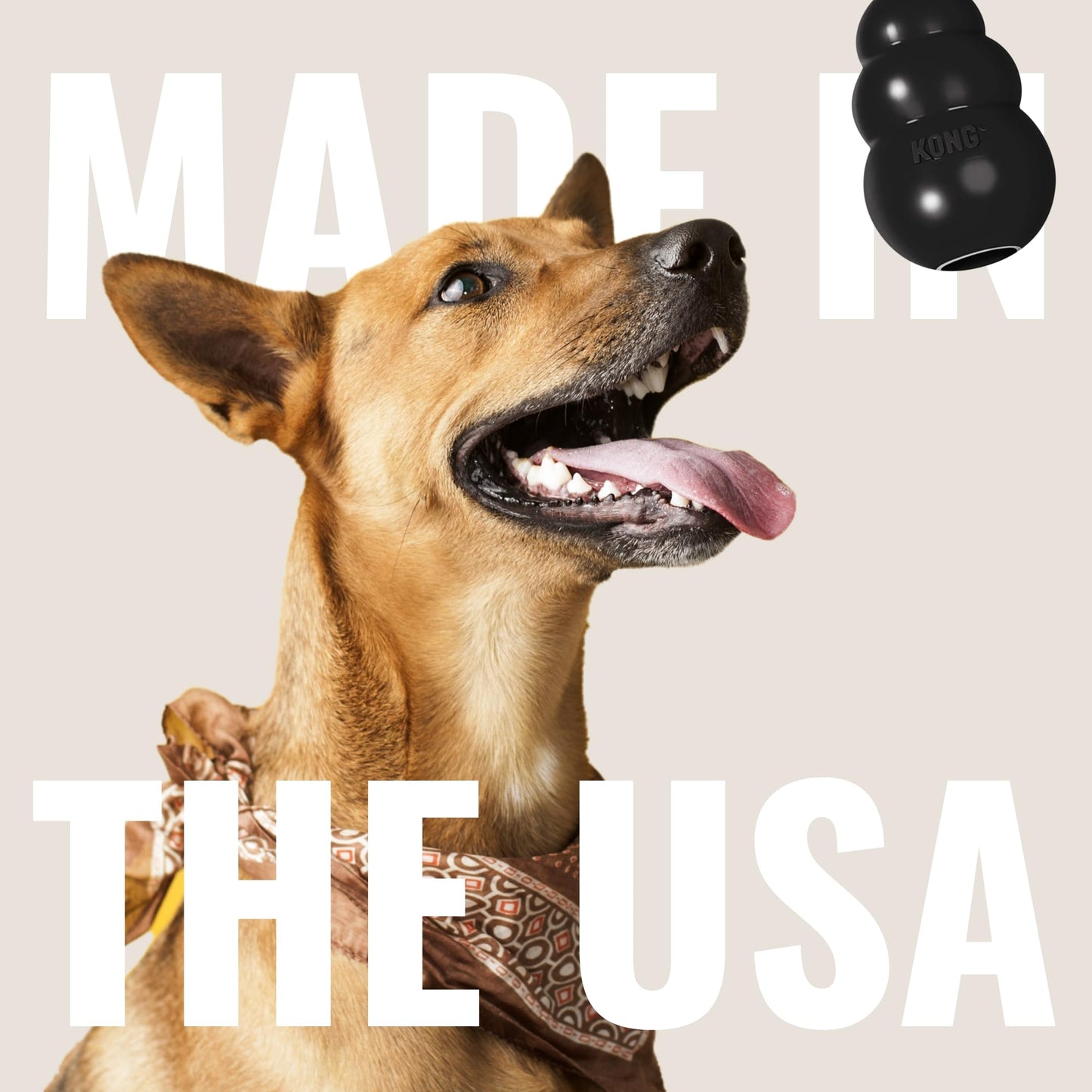 KONG Extreme Black Rubber Dog Toy