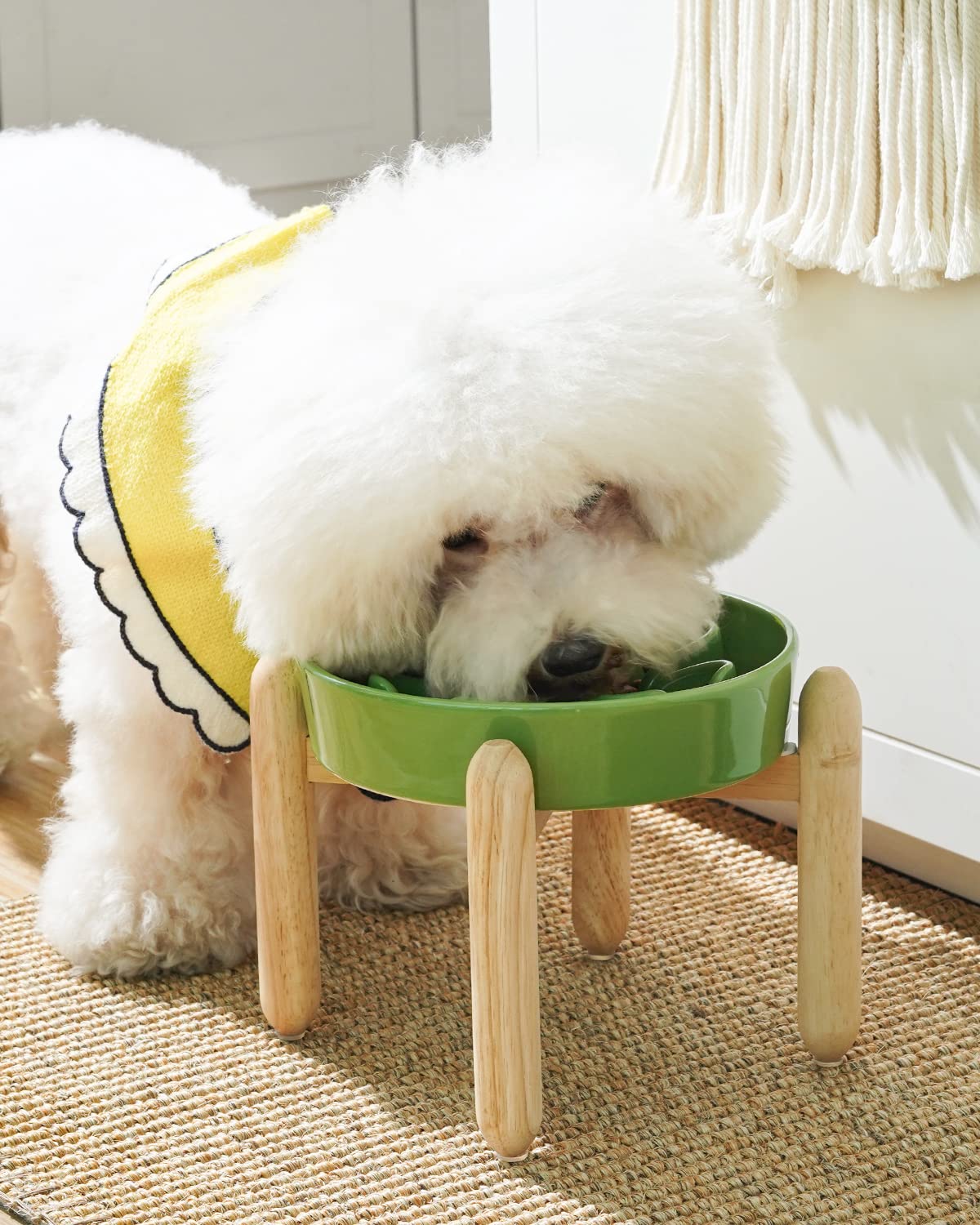 Ceramic Slow Feeder Dog Bowls - Clover Green
