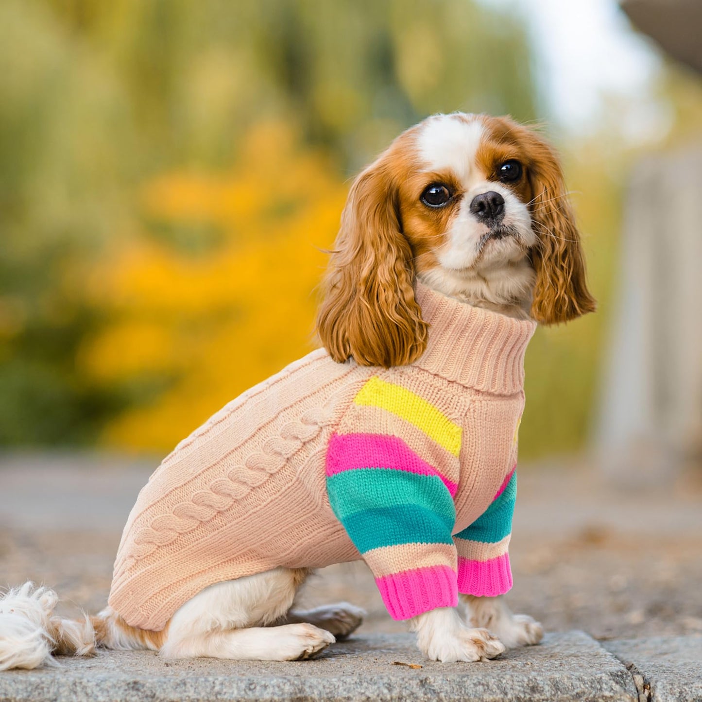 Dog Sweater