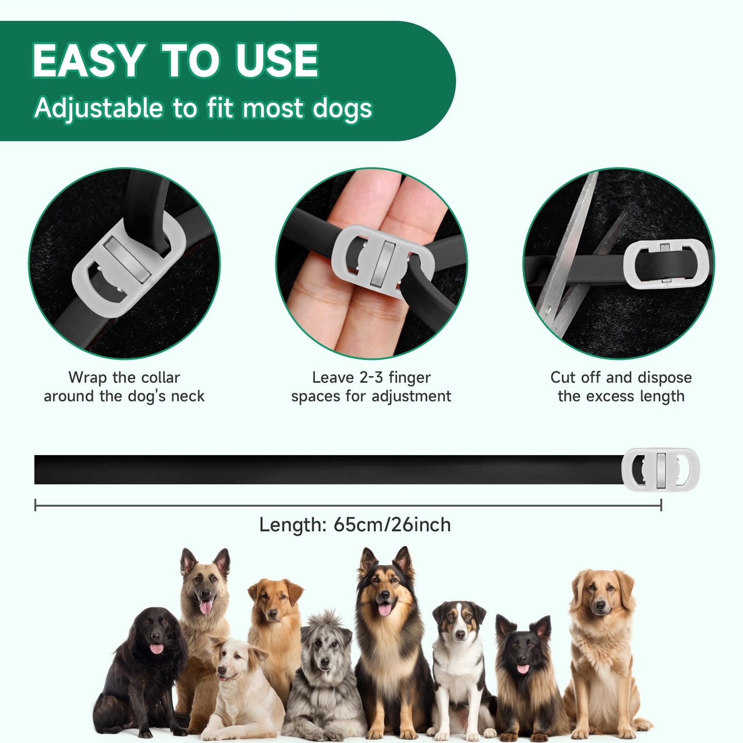 Flea and Tick Prevention for Cats