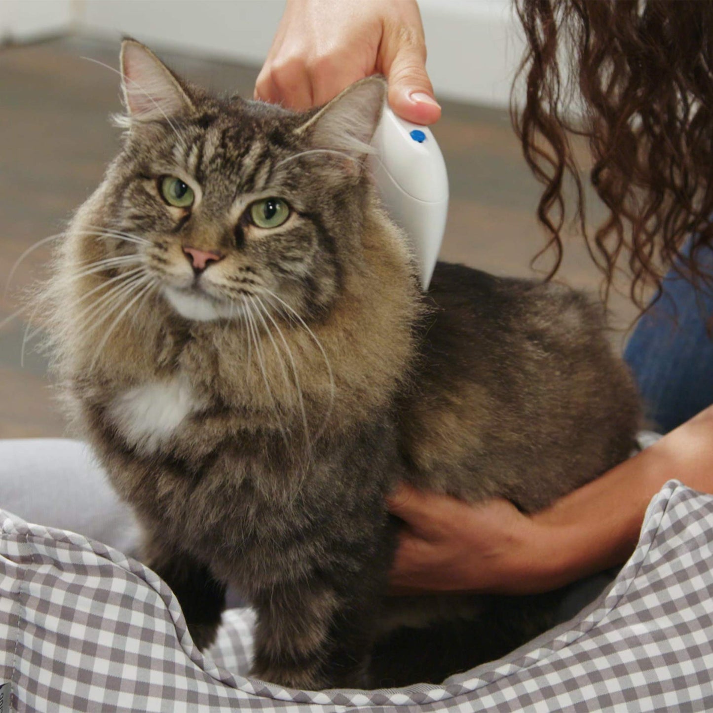 Electronic Flea Comb for Dogs & Cats