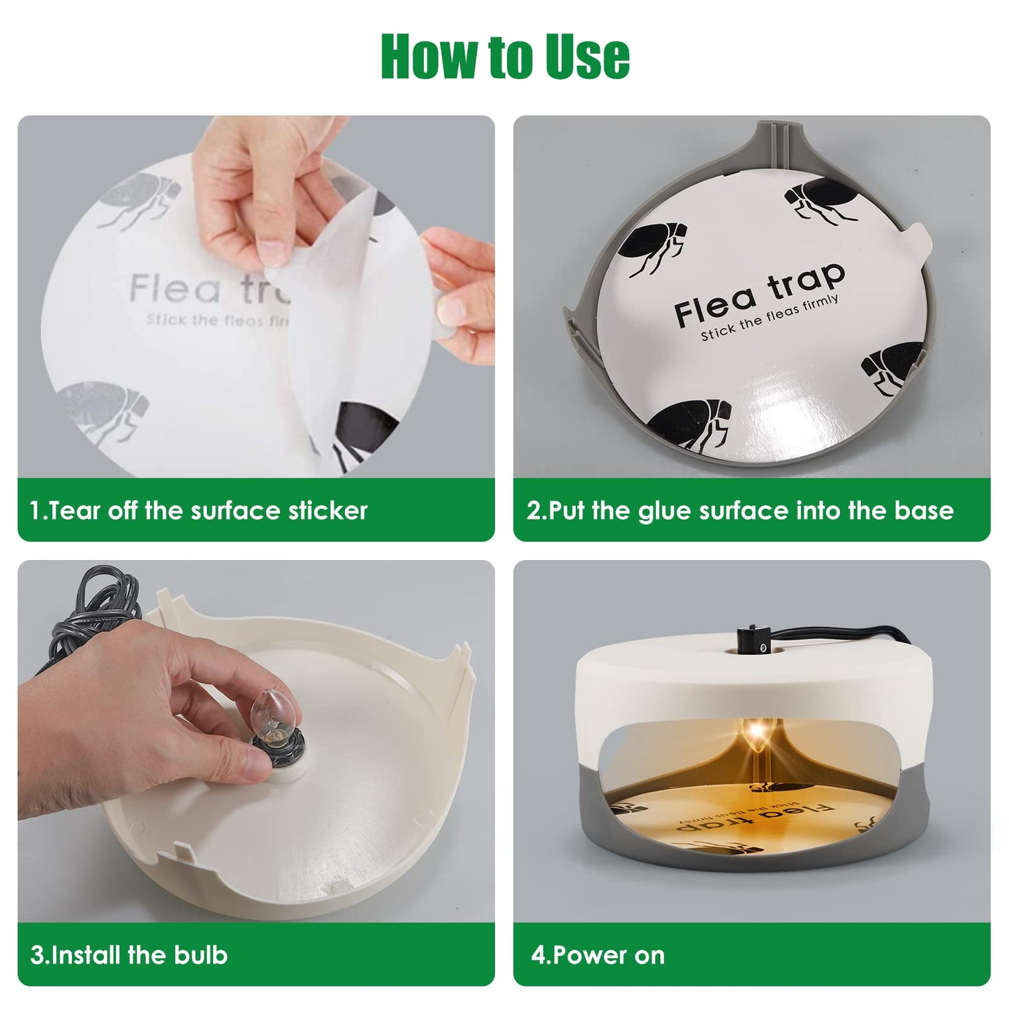 Indoor Flea Traps