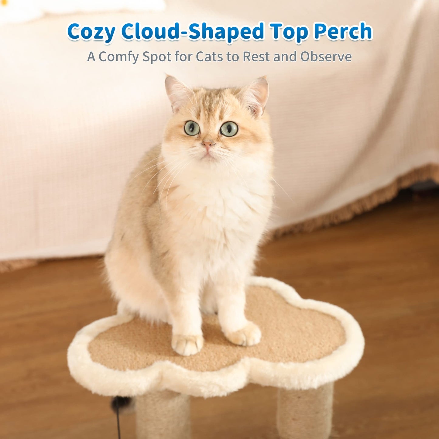 Cat Scratching Post