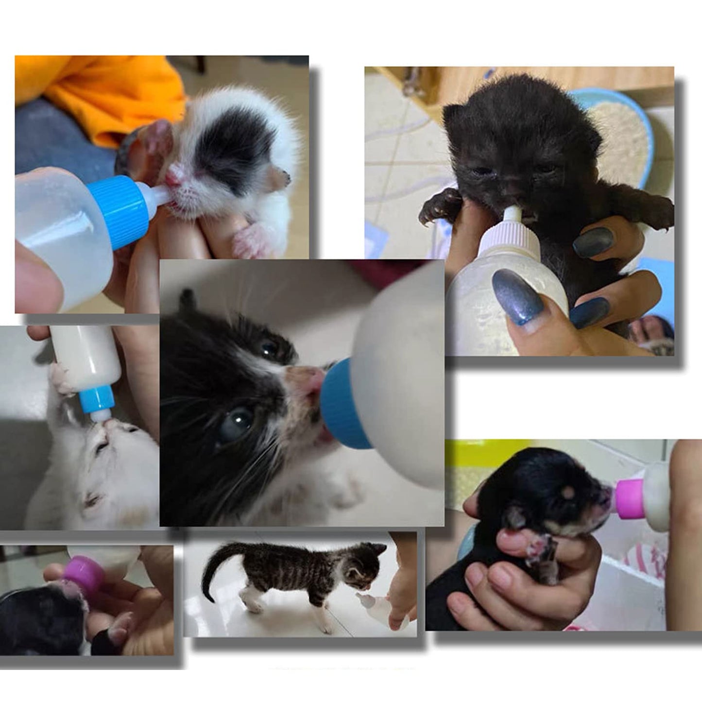 Pet Bottle Kit
