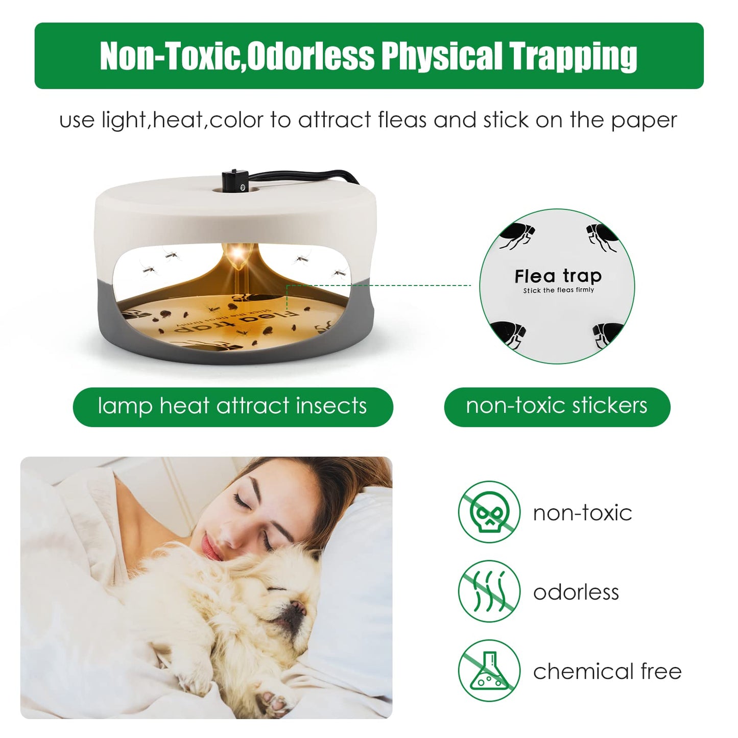 Indoor Flea Traps