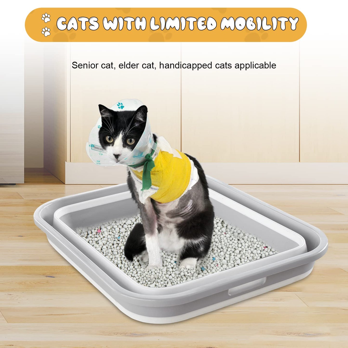 Senior Cat Litter Box