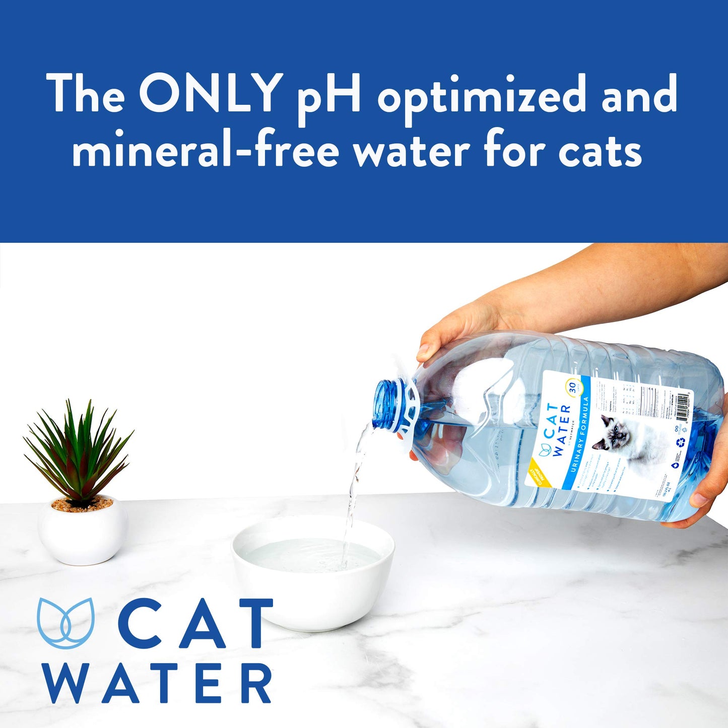 Cat Urinary Formula Water - 2 Pack