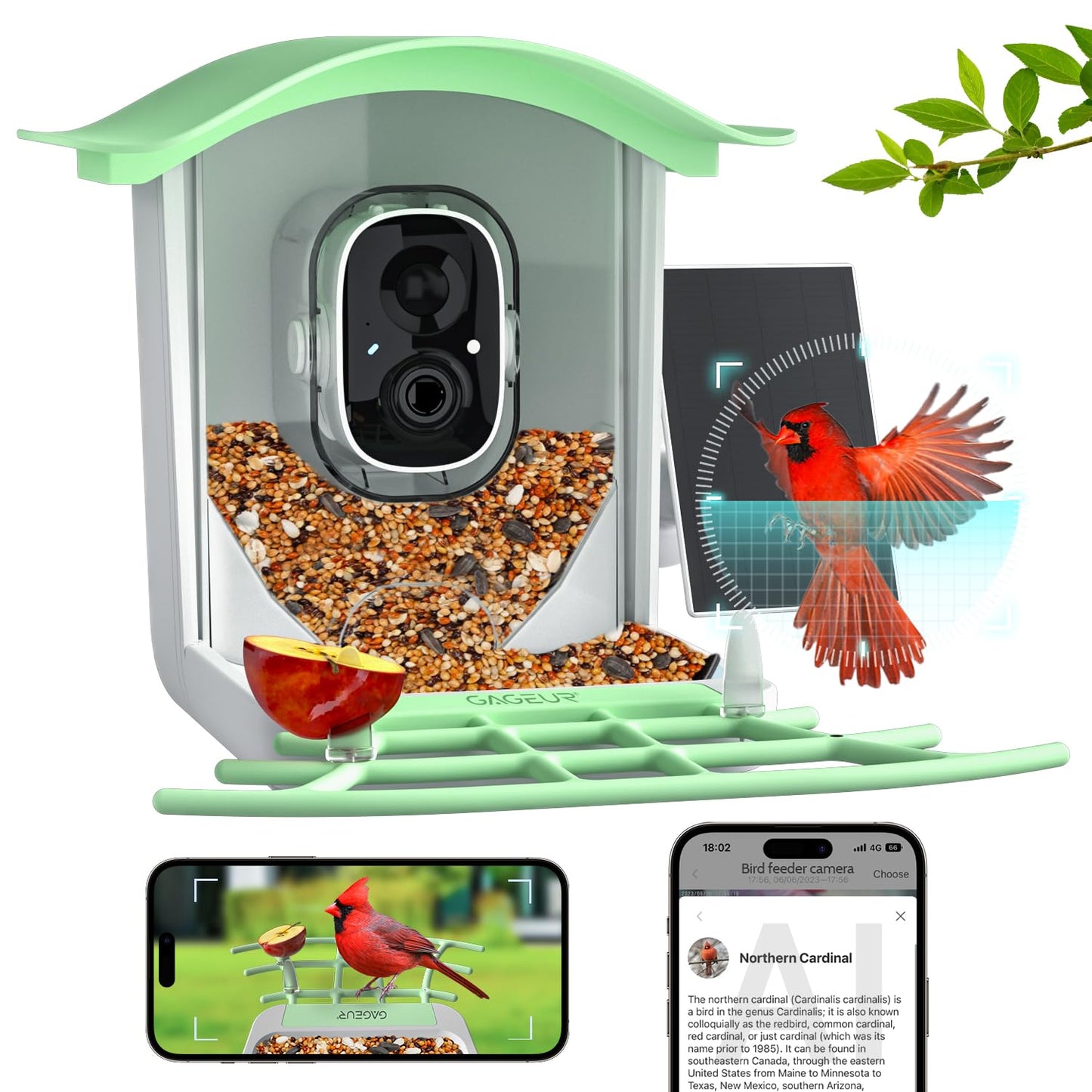 Bird Feeder with Camera & AI Species ID