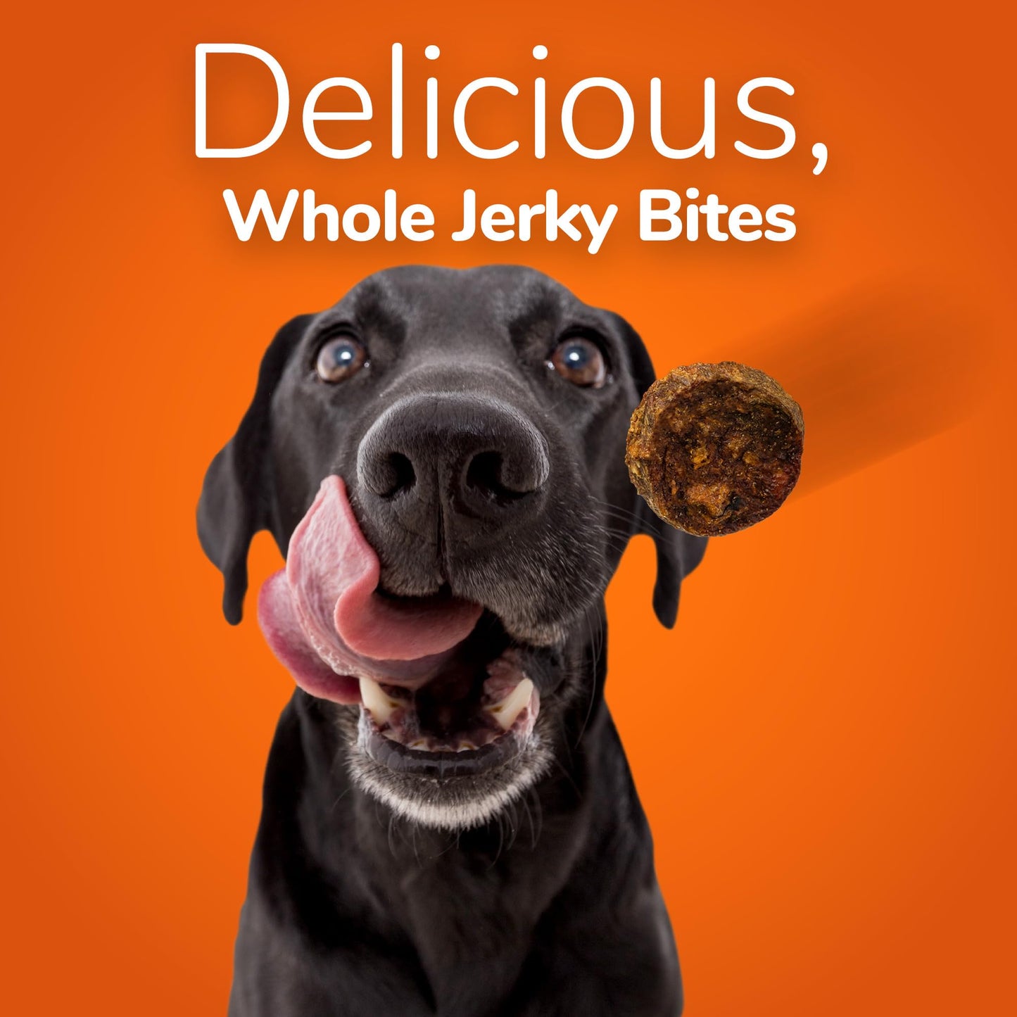 Fruitables Wild Alaskan Salmon Jerky Dog Treats