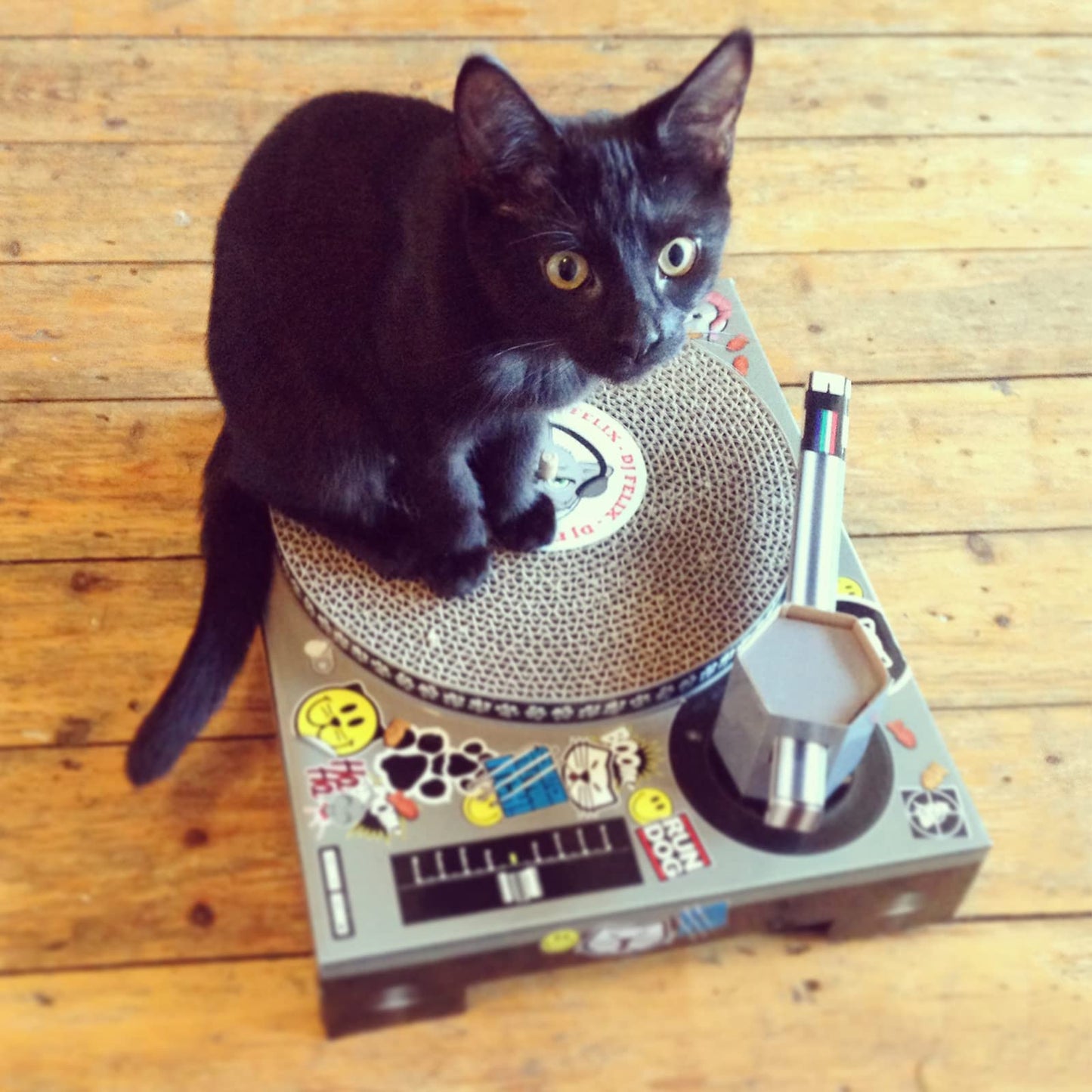 DJ Cat Turntable Scratcher - Cardboard