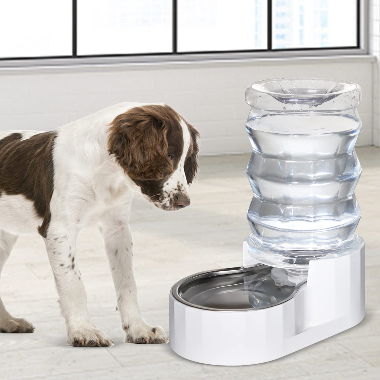 RIZZARI Automatic Pet Water Dispenser