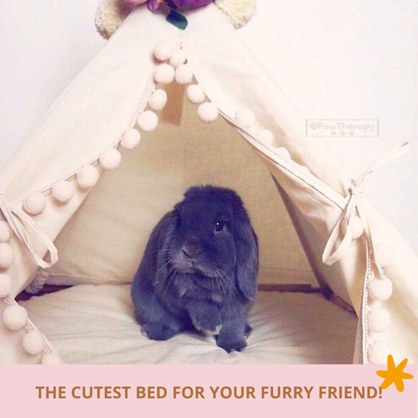Cozy Small Dog Bed - Cat Teepee