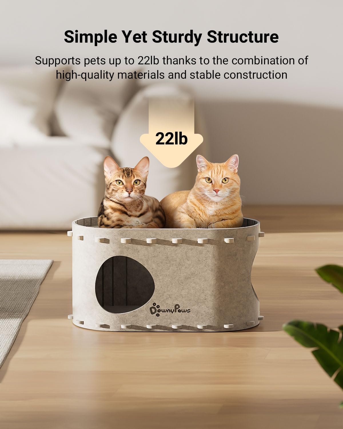 Cat Cave Beds - Foldable Hideaway for Indoor Cats