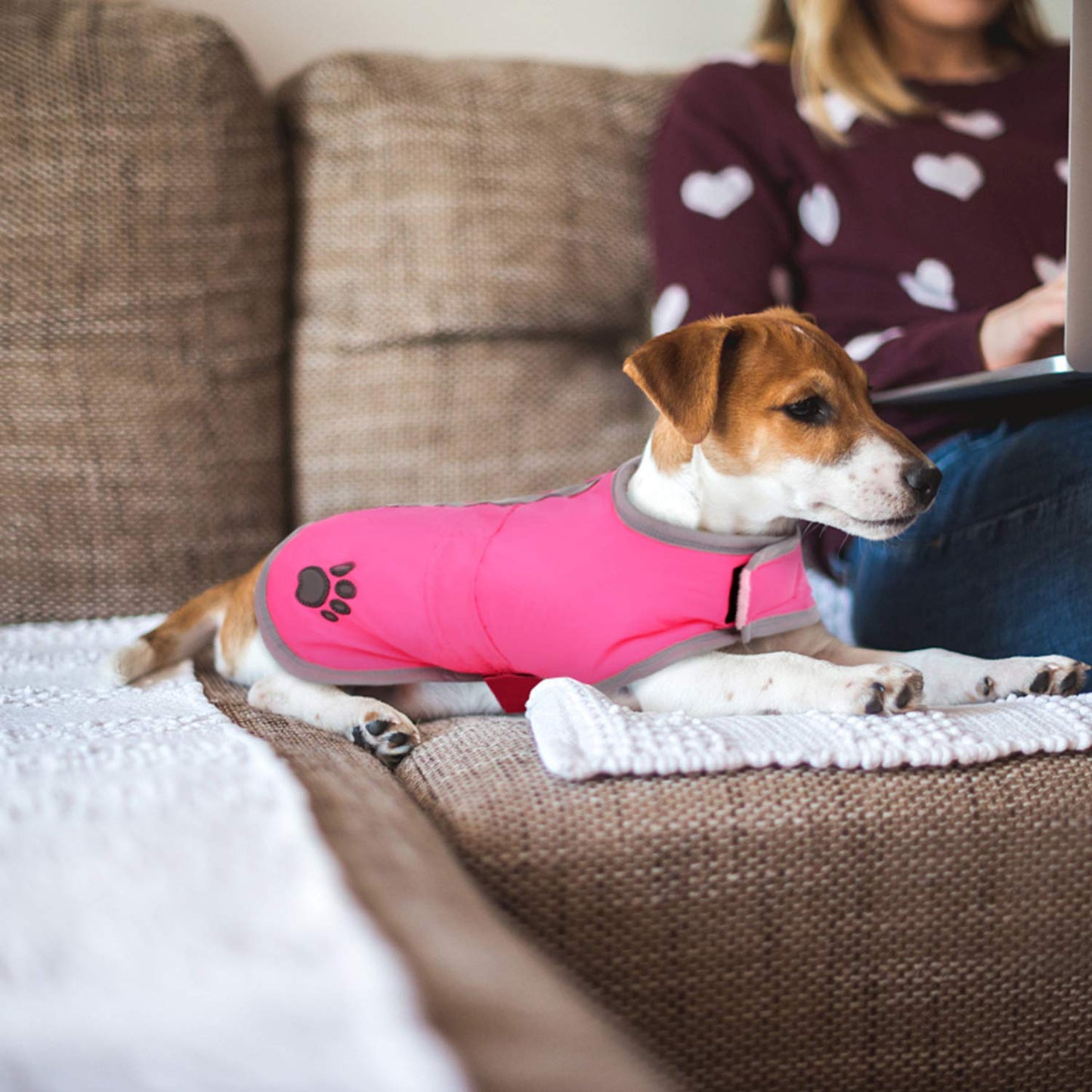 Cold Weather Dog Coat