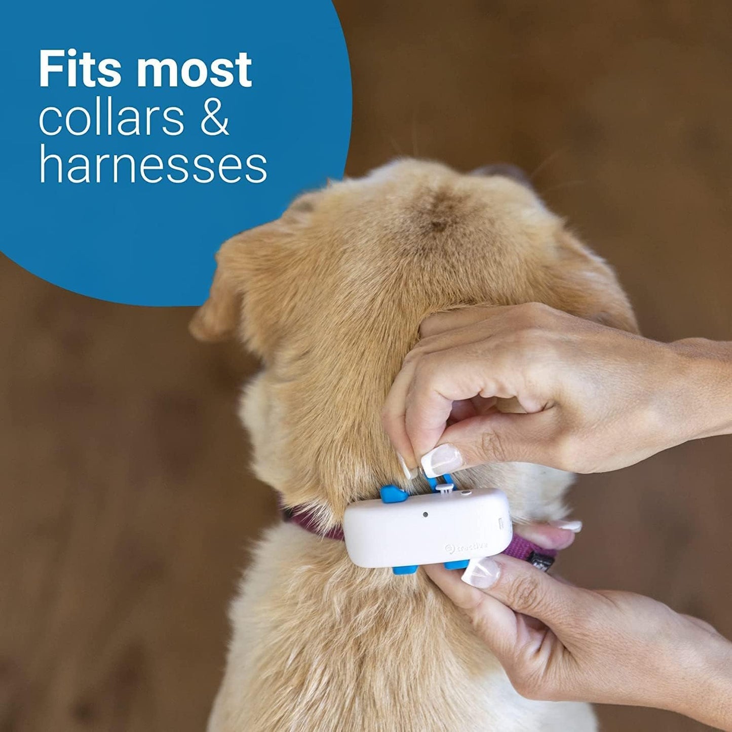 Dog GPS Pet Tracker - Midnight Blue