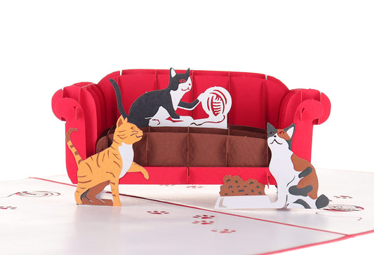 Funny Cats 3D Pop Up Greeting Card