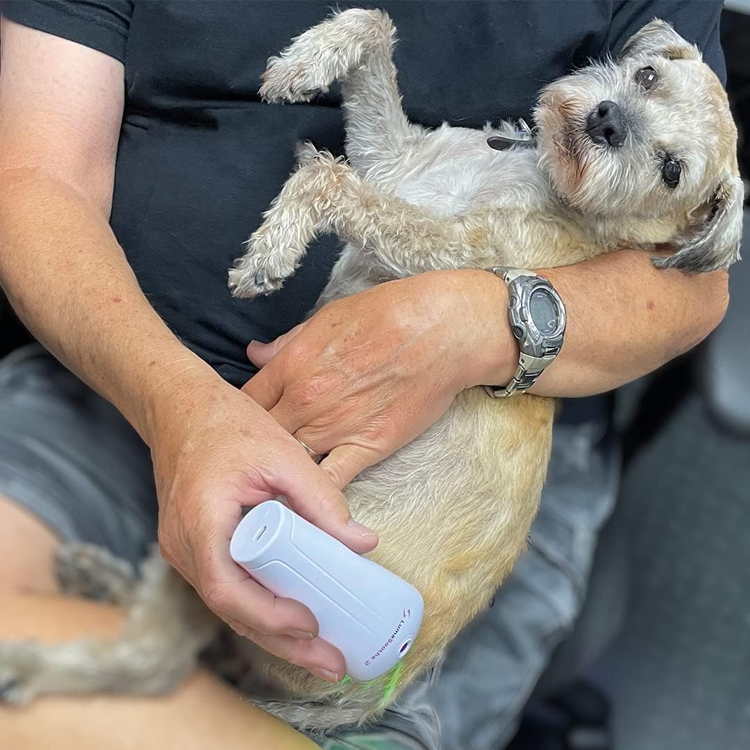 Light Therapy for Dogs and Pets For Muscle & Joint Pain Relief, Reduce Inflammation, Heal Wounds, & Clear Skin Problems