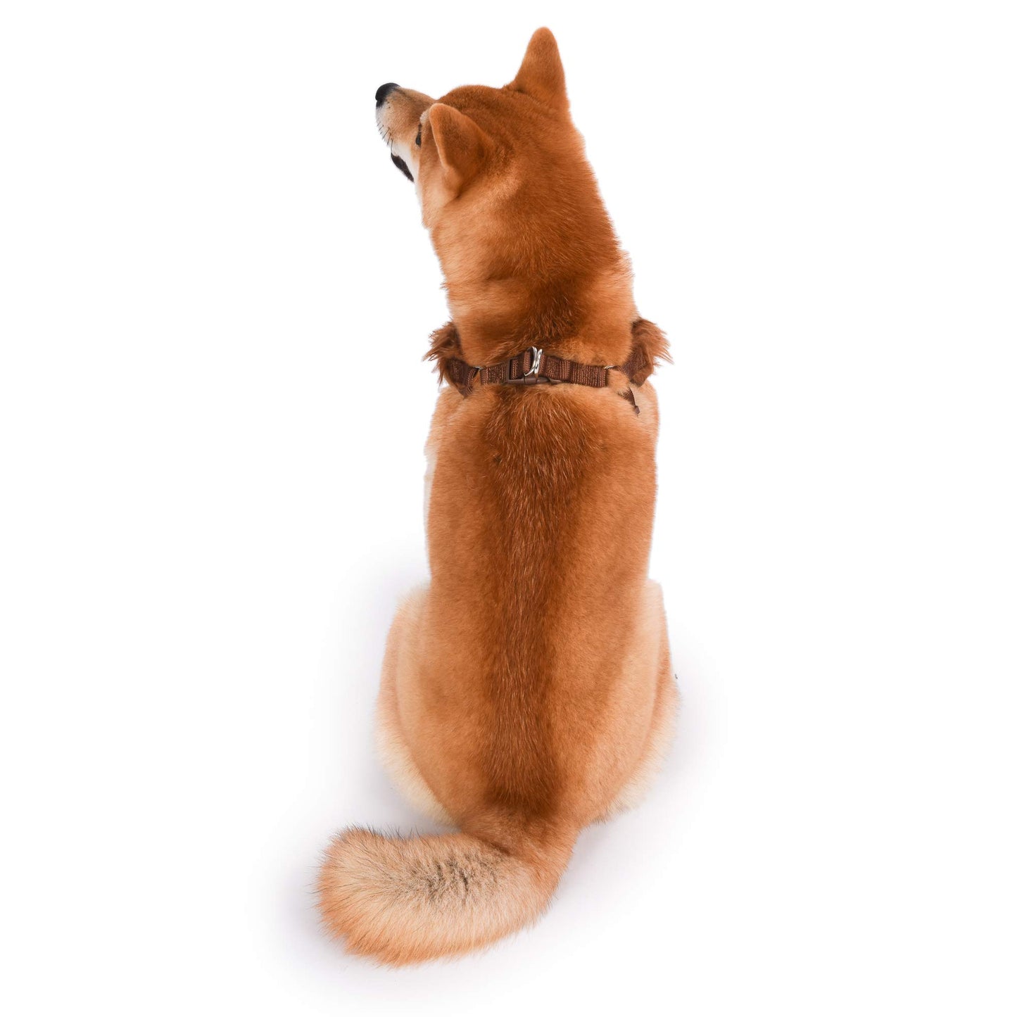 Chewbacca Dog Harness - Medium, Star Wars