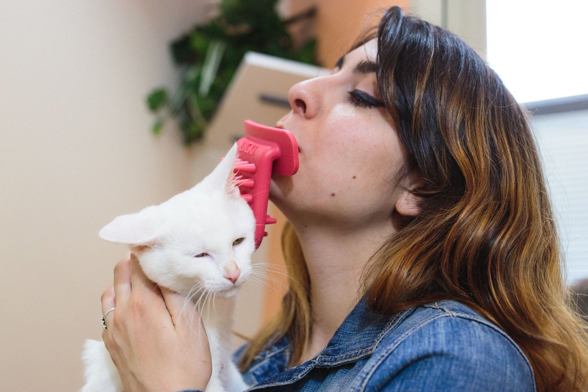 Licki Your Cat Brush
