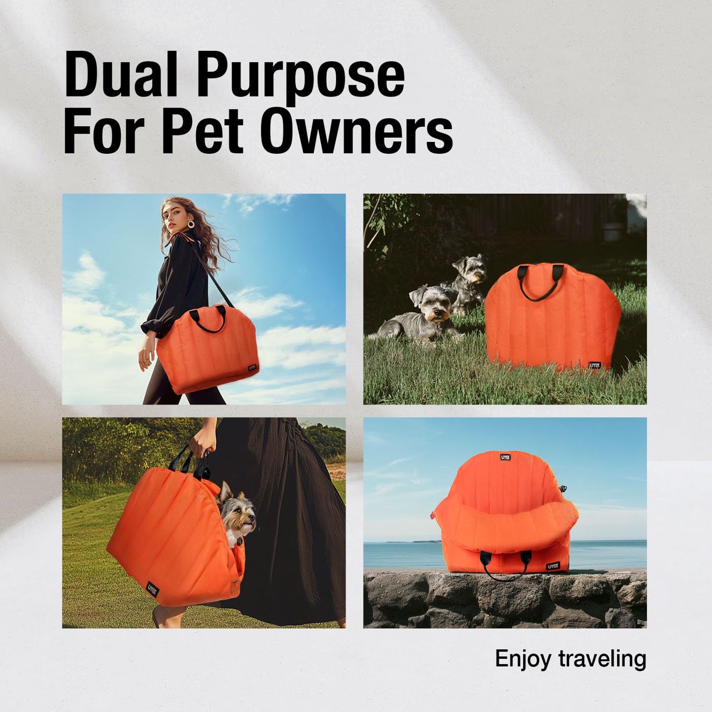 Small Dog Car Seat & Carrier in One