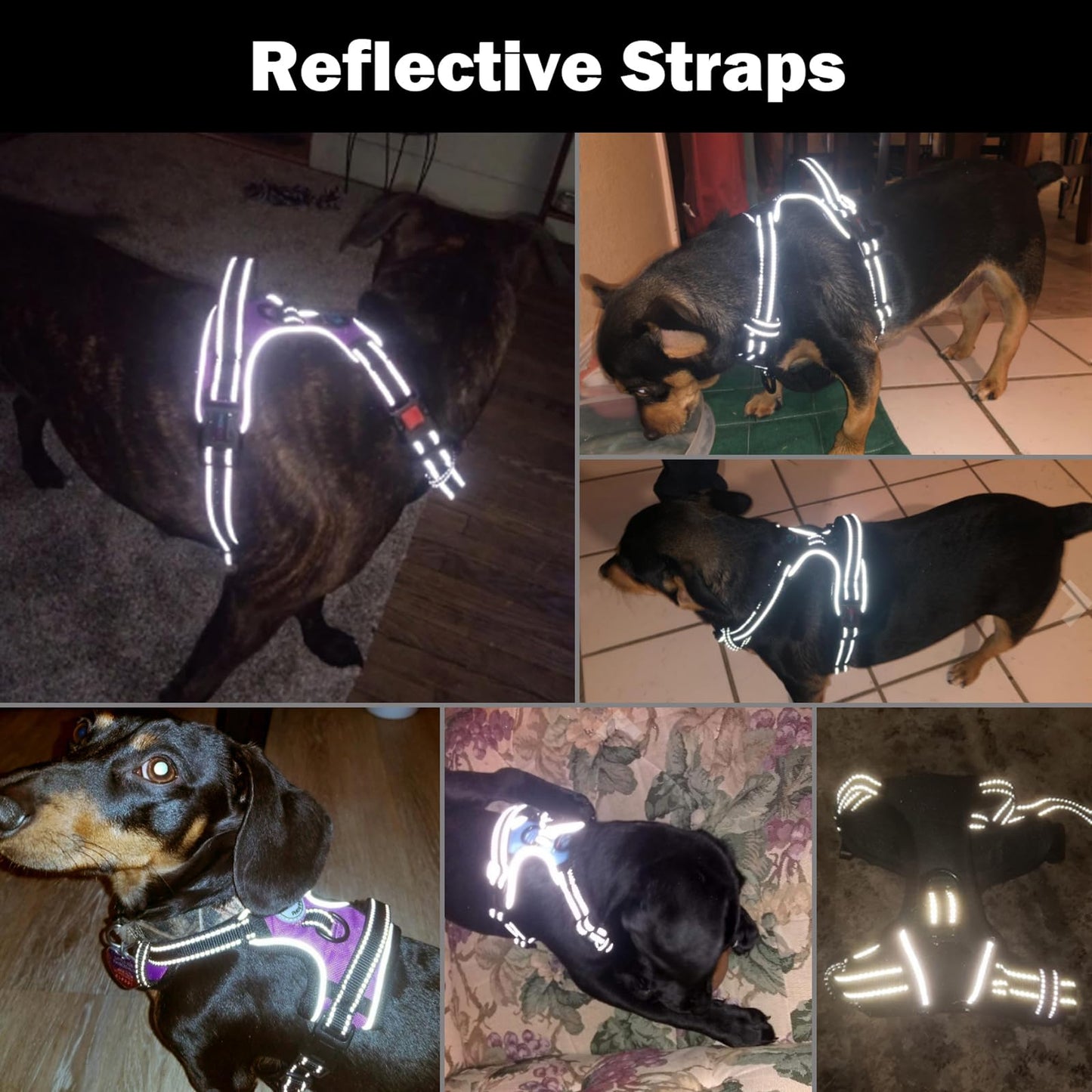 No Pull Dog Harness - Reflective, Medium, Orange