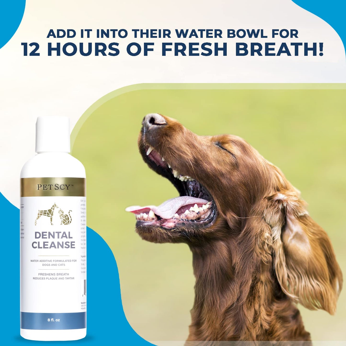 Dental Cleanse for Cats & Dogs - 8 Oz