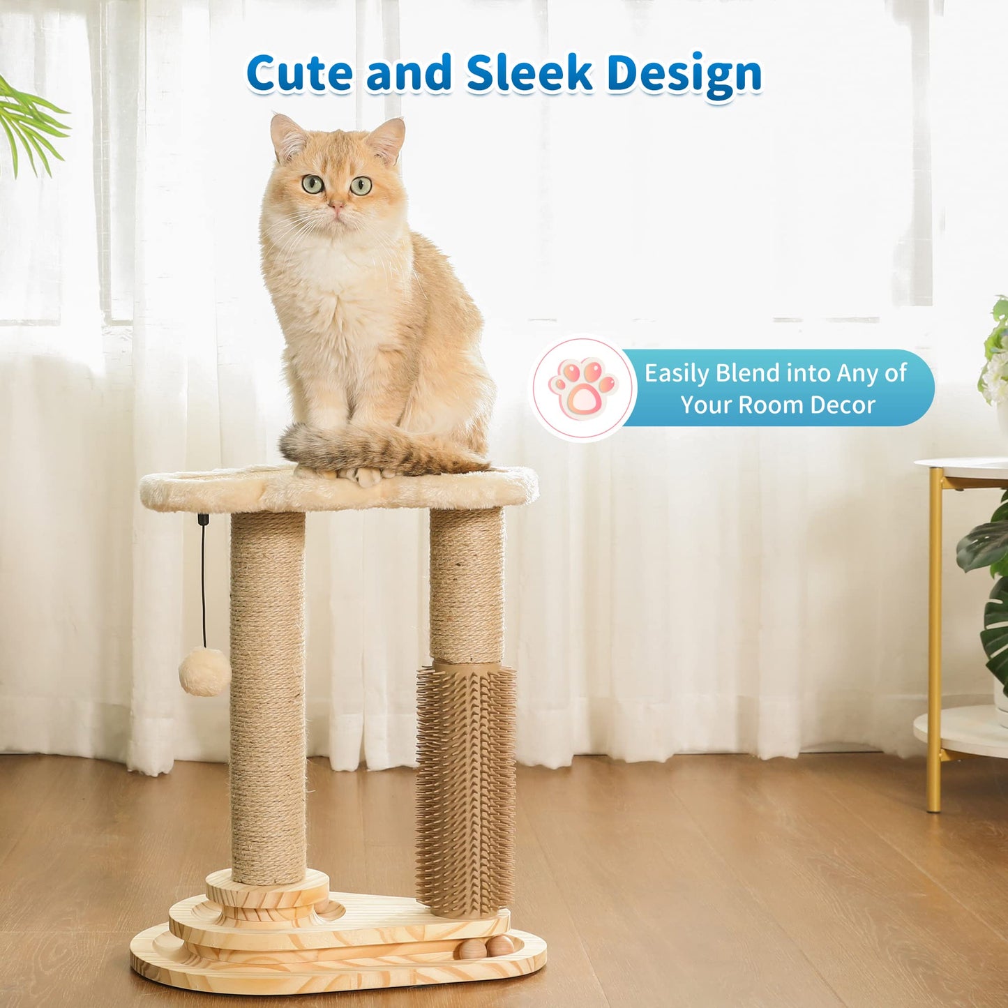Cat Scratching Post