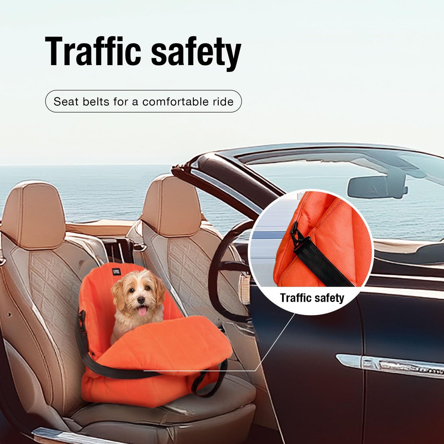 Small Dog Car Seat & Carrier in One