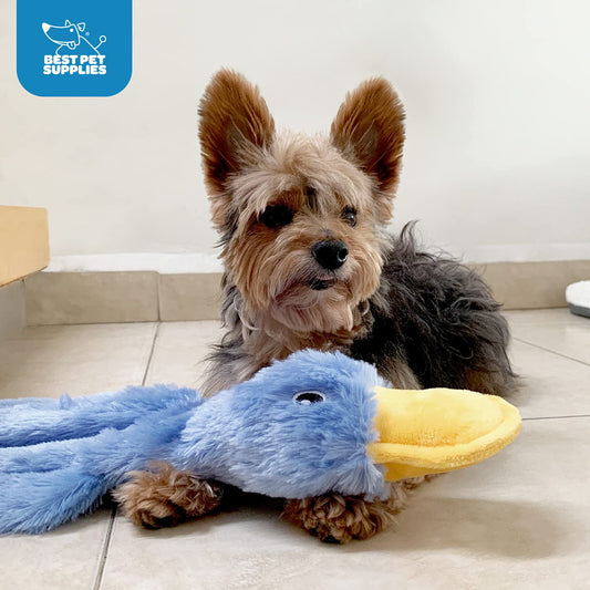 Crinkle Dog Toy - No Stuffing Duck with Squeaker