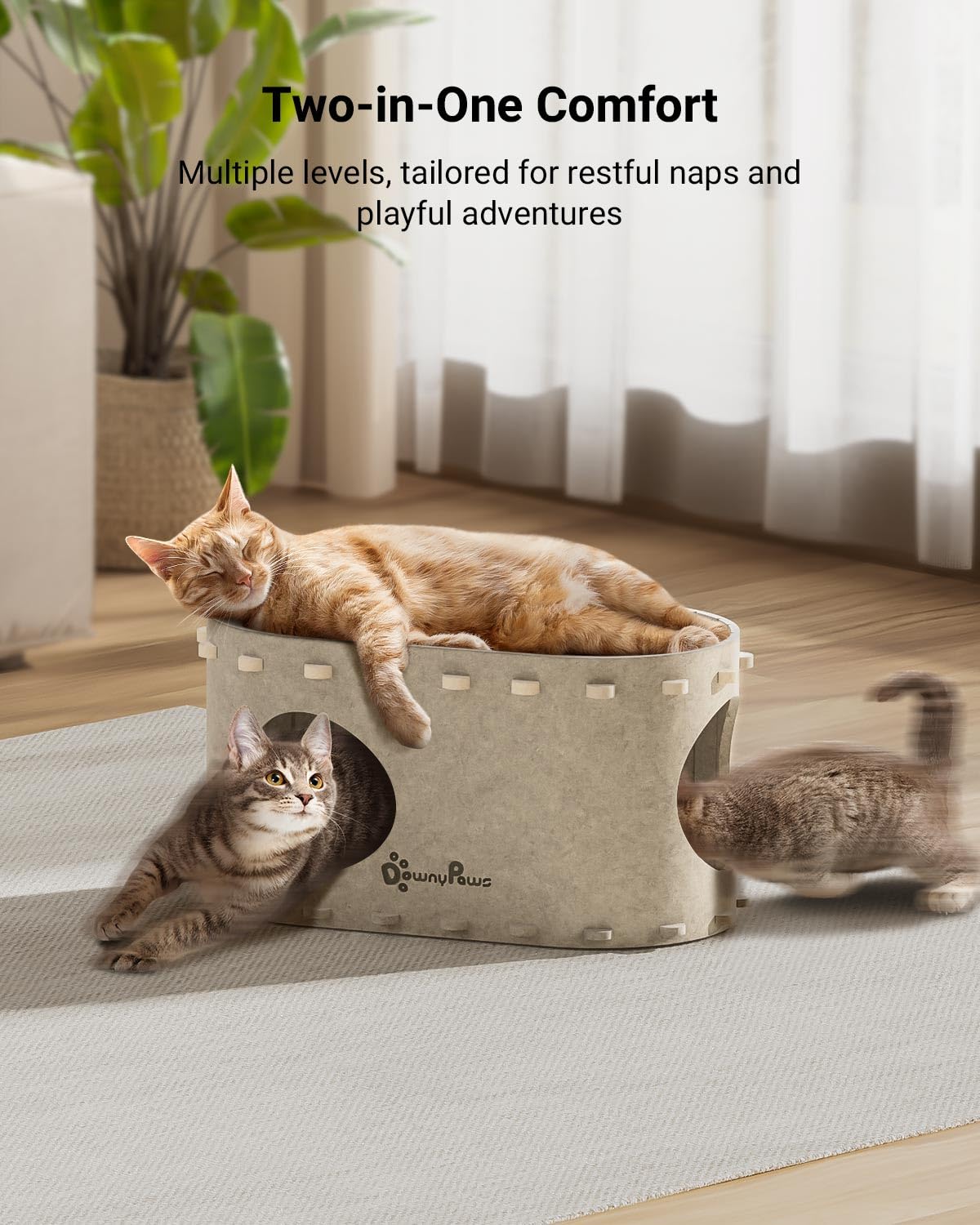 Cat Cave Beds - Foldable Hideaway for Indoor Cats