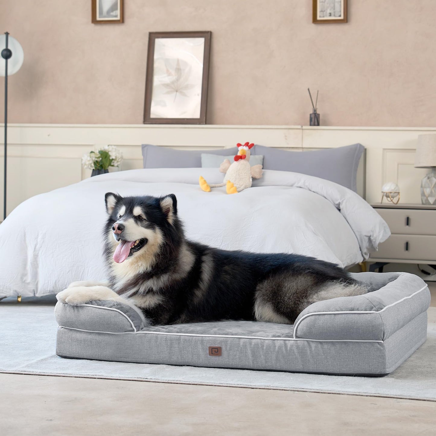 Orthopedic Dog Bed - XL Memory Foam
