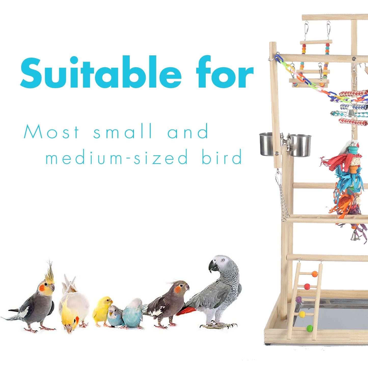 Parrot Playground