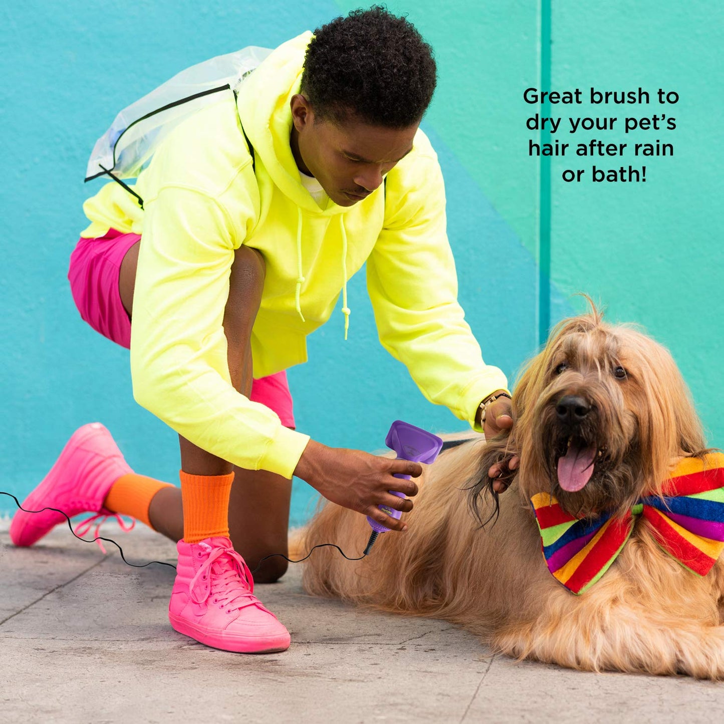 Pet Hair Brush and Hair Dryer Combo