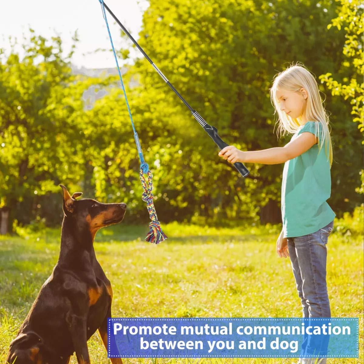 Flirt Pole Dog Toy - Interactive Exercise