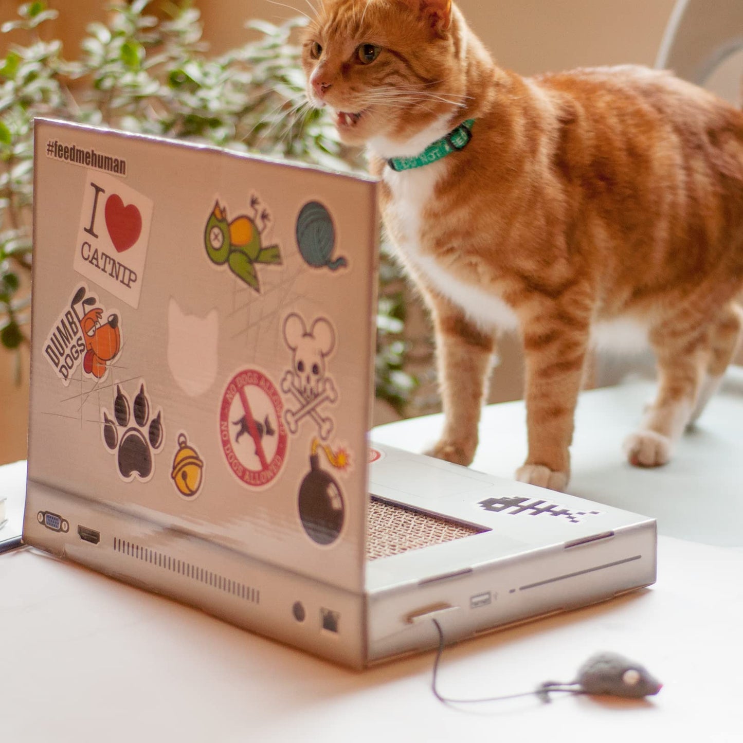 Cat Laptop Scratcher - Cardboard