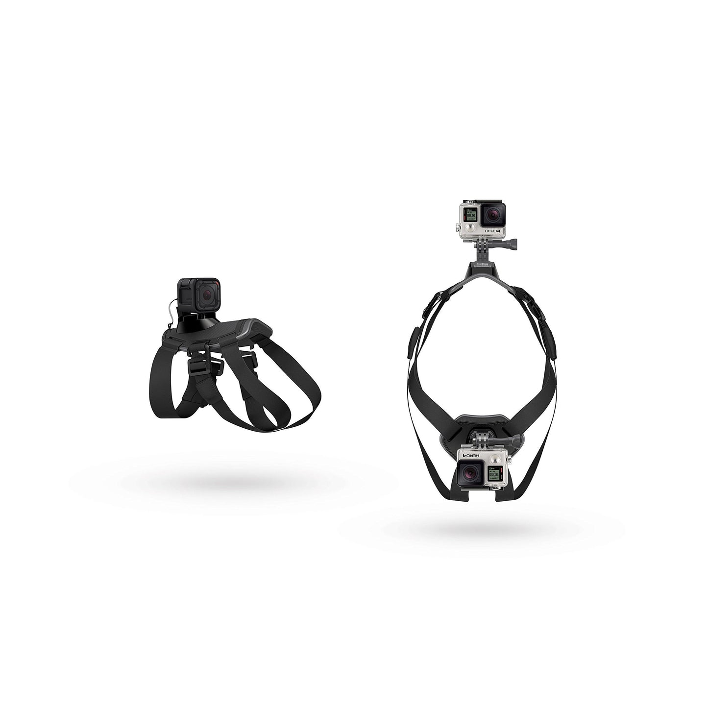 GoPro Fetch Dog Harness