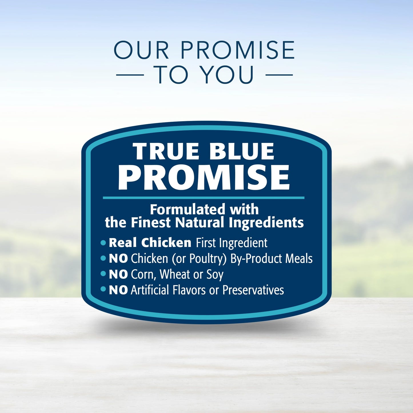 Life Protection Formula Natural Senior Small Breed Dry Dog Food