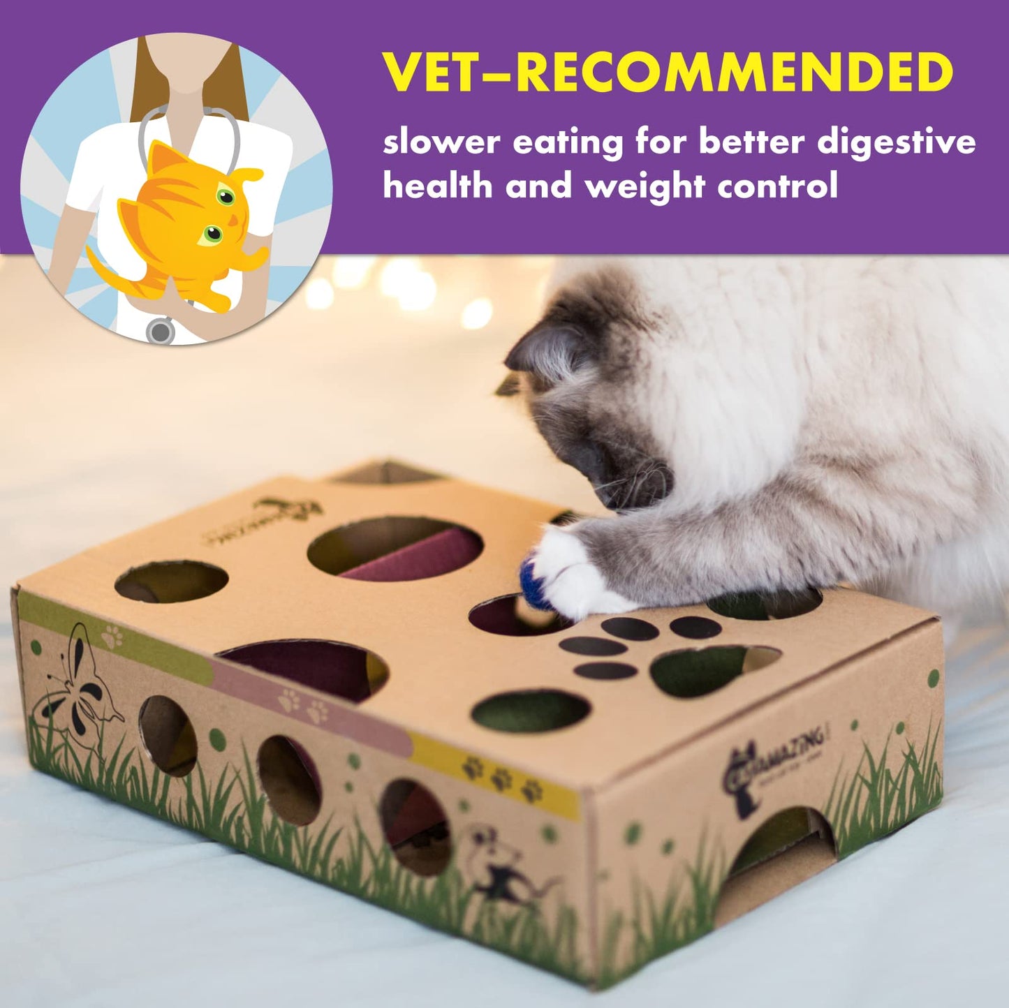 Interactive Cat Puzzle Feeder